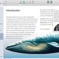 Скриншот 1 программы iBooks Author