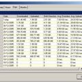 Скриншот 1 программы BitMeter