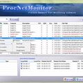 Скриншот 2 программы Proc Net Monitor