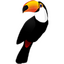 Иконка программы Toucan
