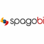 Иконка программы SpagoBI