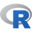 Иконка программы R (programming language)