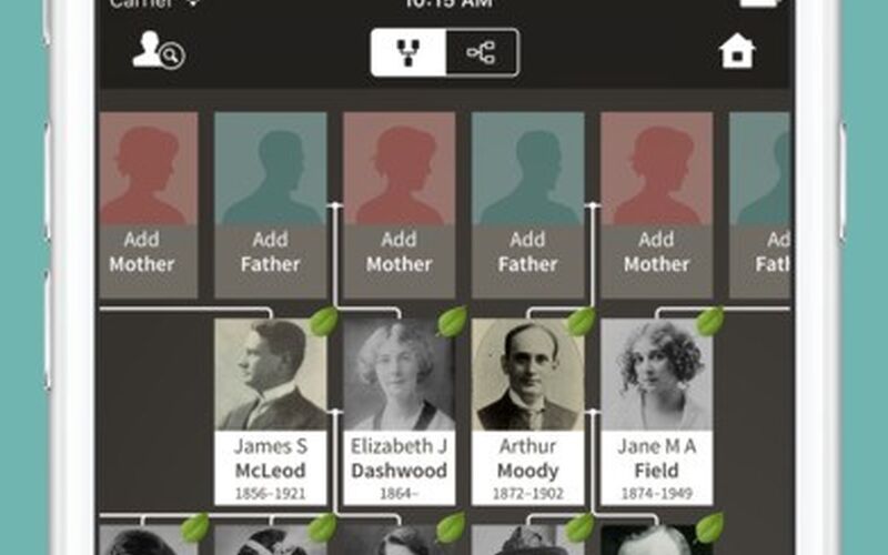 Скриншот 1 программы Ancestry