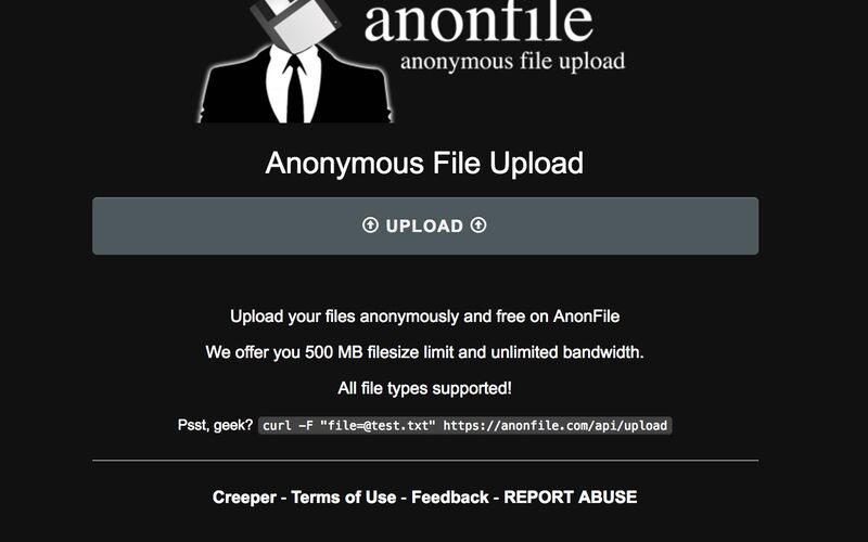 Скриншот 1 программы AnonFile.com