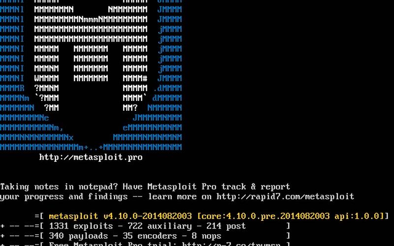 Скриншот 1 программы Metasploit