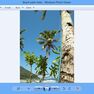 Скриншот 1 программы Windows Photo Viewer