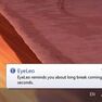 Скриншот 2 программы Eyeleo