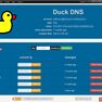 Скриншот 1 программы Duck DNS