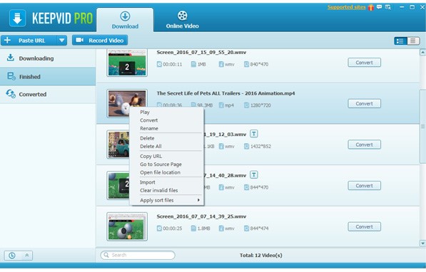 Скриншот 1 программы KeepVid