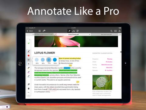 Скриншот 1 программы PDF Expert