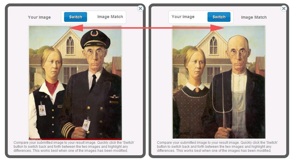 Скриншот 1 программы TinEye