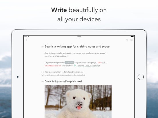 Скриншот 1 программы Bear