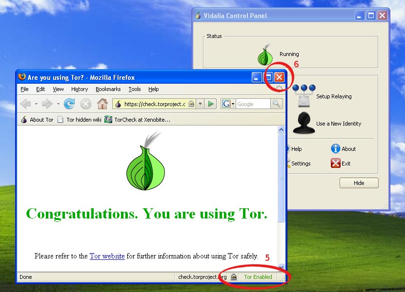 Программа похожая на tor browser hydraruzxpnew4af сменить ip в браузере тор hydra2web