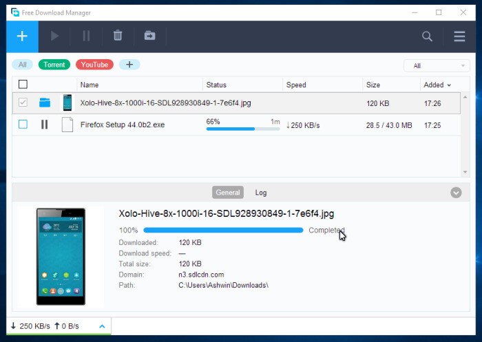 Скриншот 1 программы Free Download Manager