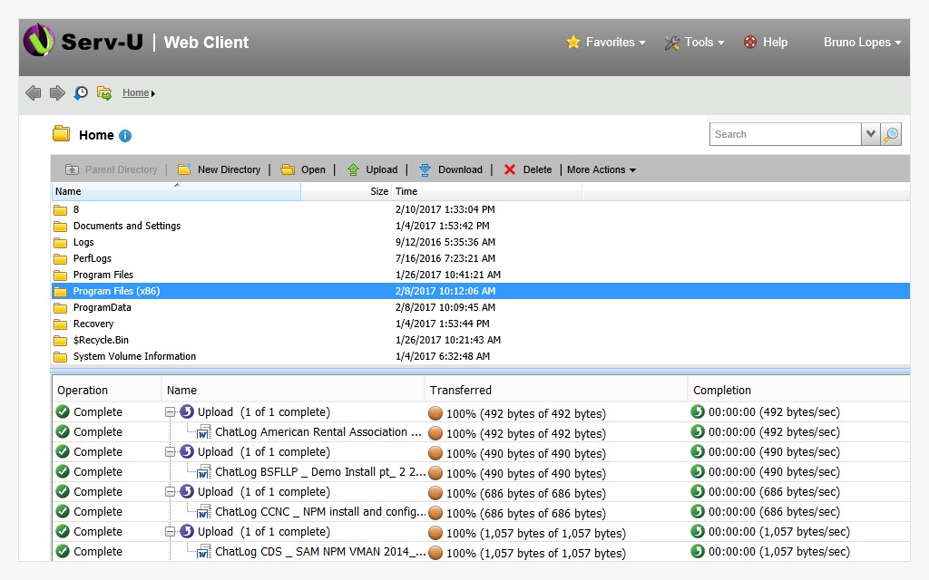 Скриншот 1 программы Serv-U FTP Server
