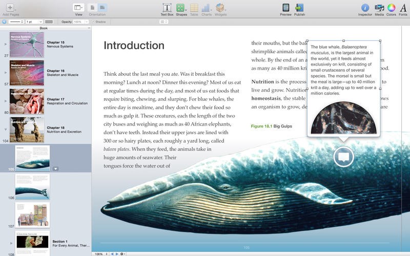 Скриншот 1 программы iBooks Author
