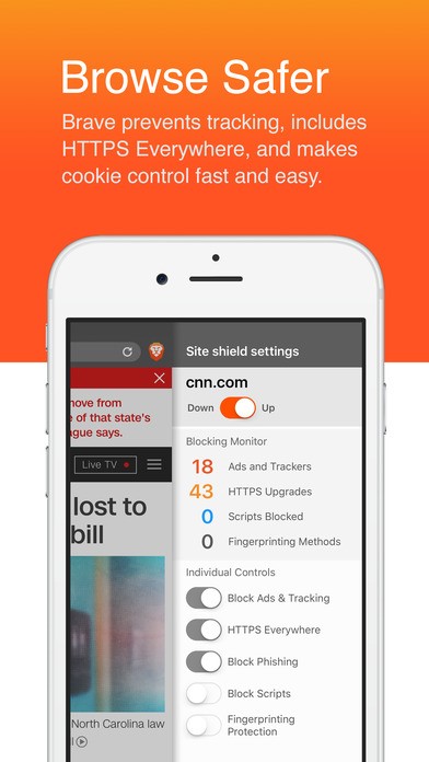 Скриншот 2 программы Brave