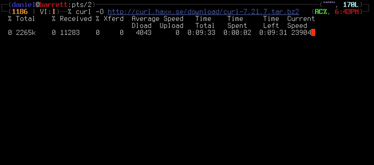 Скриншот 1 программы cURL