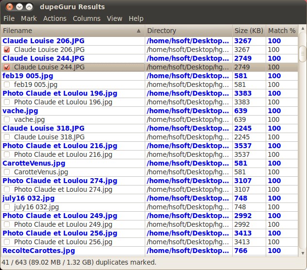 Скриншот 2 программы dupeGuru