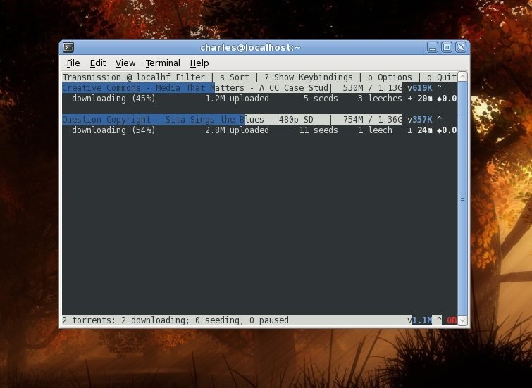 Скриншот 3 программы Transmission