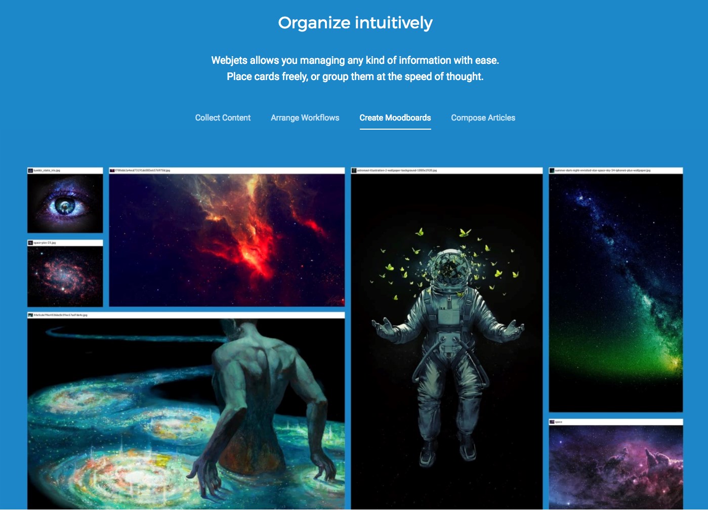 Скриншот 2 программы Webjets