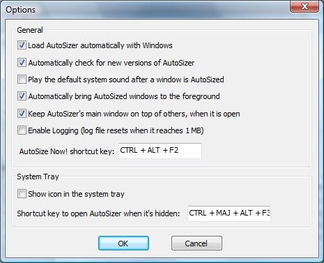 Скриншот 2 программы AutoSizer