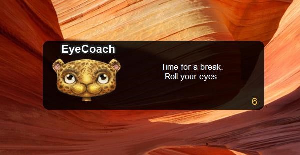 Скриншот 1 программы Eyeleo