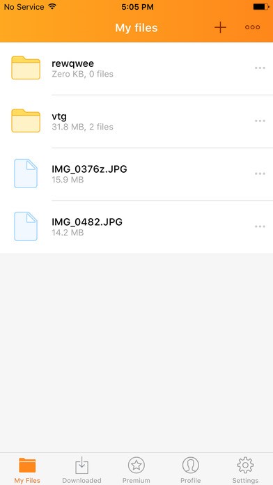 Скриншот 3 программы Rapidgator.net