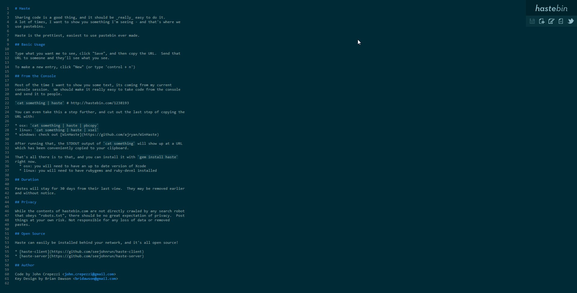 Скриншот 1 программы hastebin