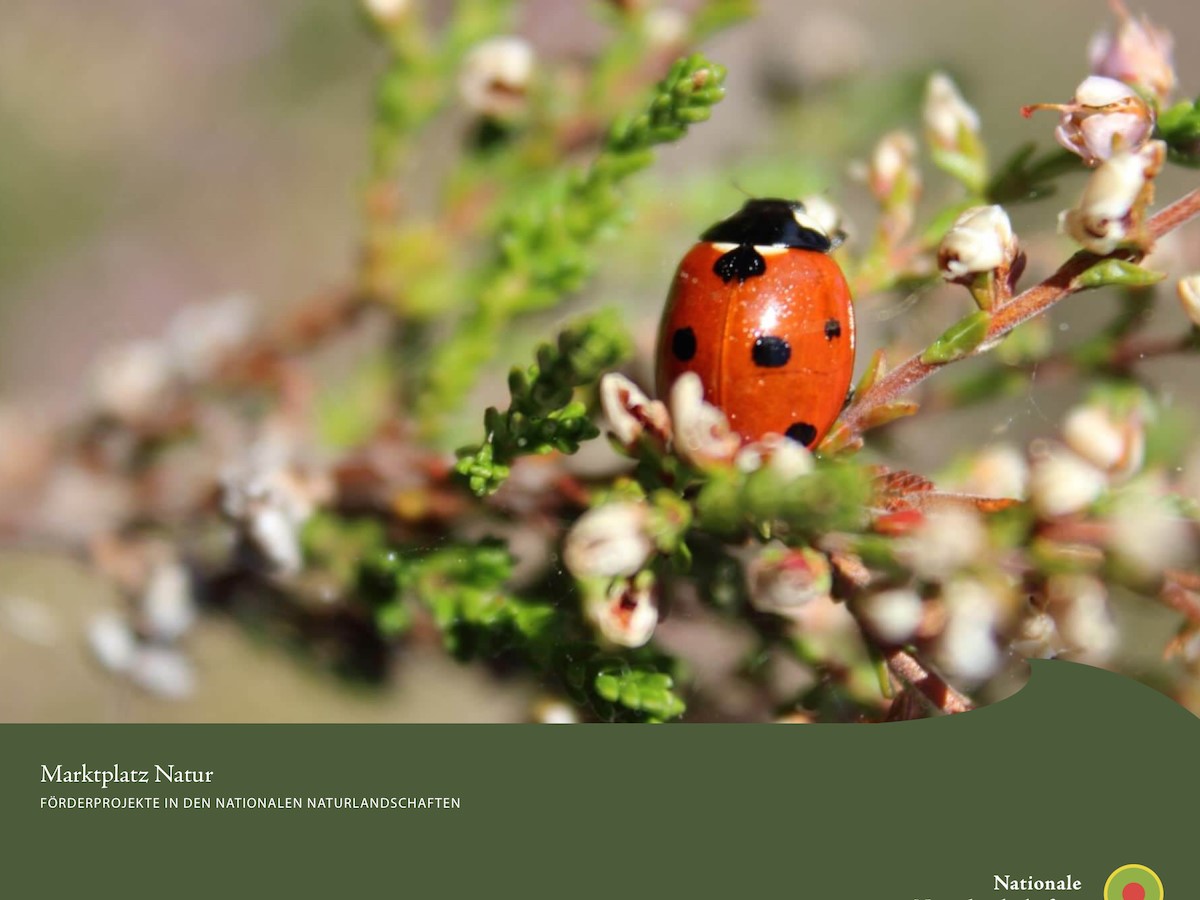 Скриншот 2 программы Bootstrap