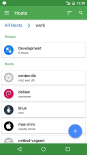 Скриншот 2 программы Termius