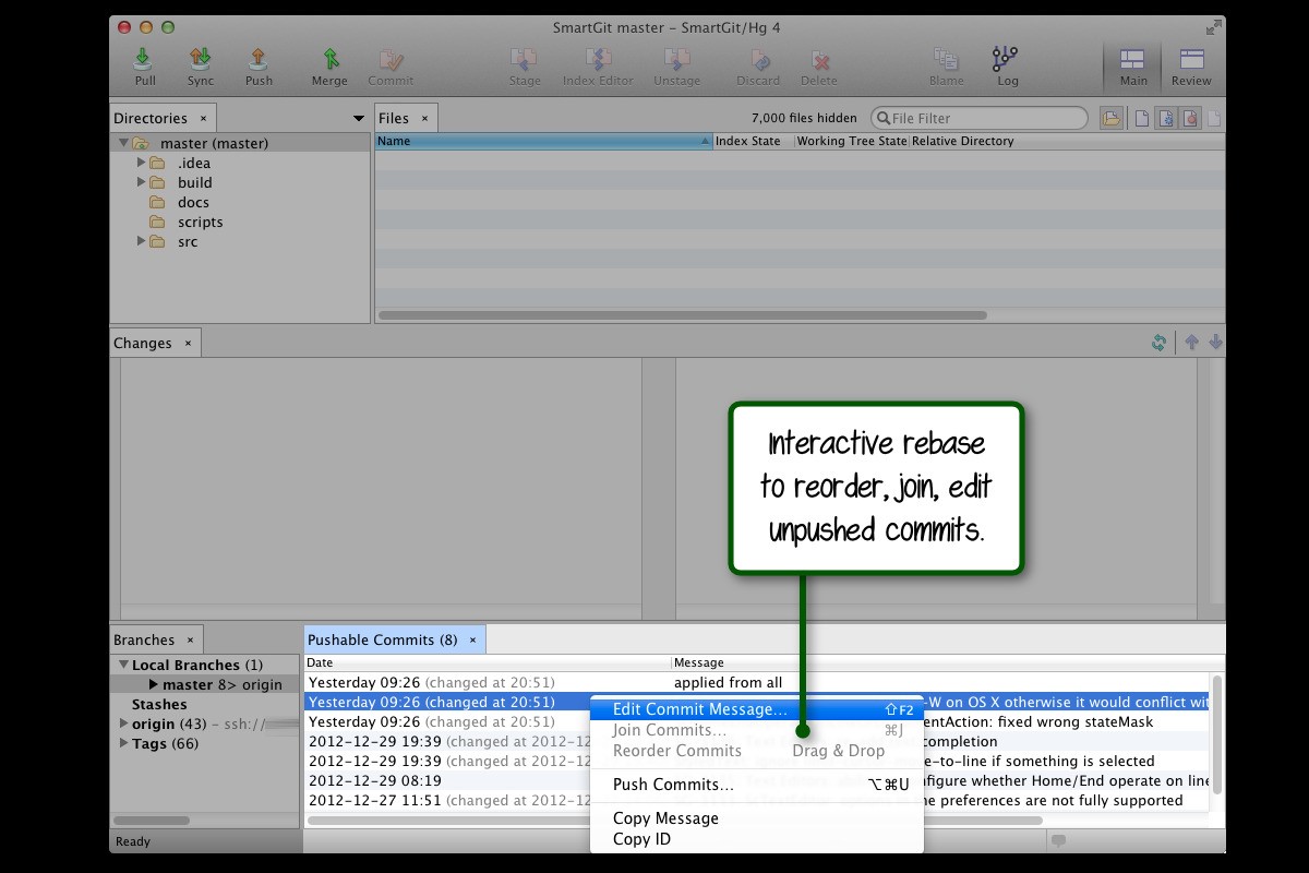 Скриншот 3 программы SmartGit