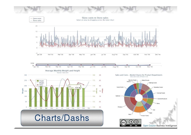 Скриншот 2 программы SpagoBI