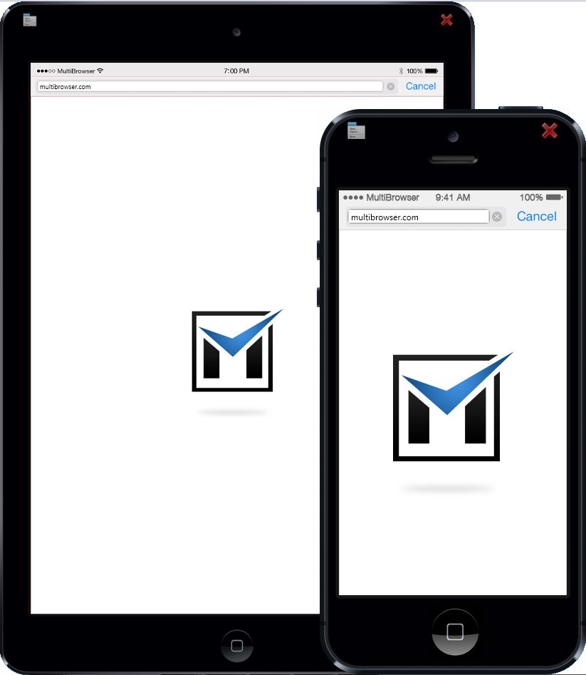Скриншот 1 программы MultiBrowser