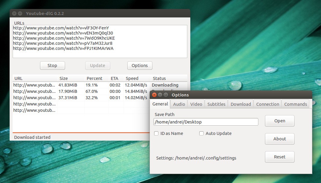 Скриншот 2 программы Youtube-DLG