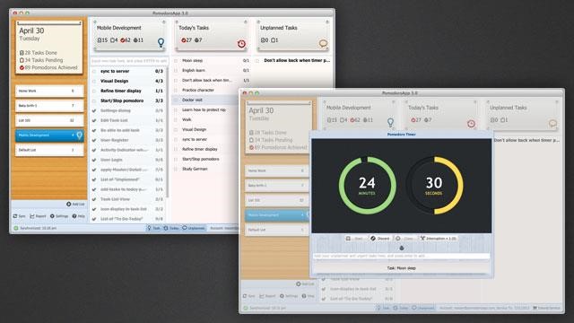 Скриншот 3 программы TeamViz Lite