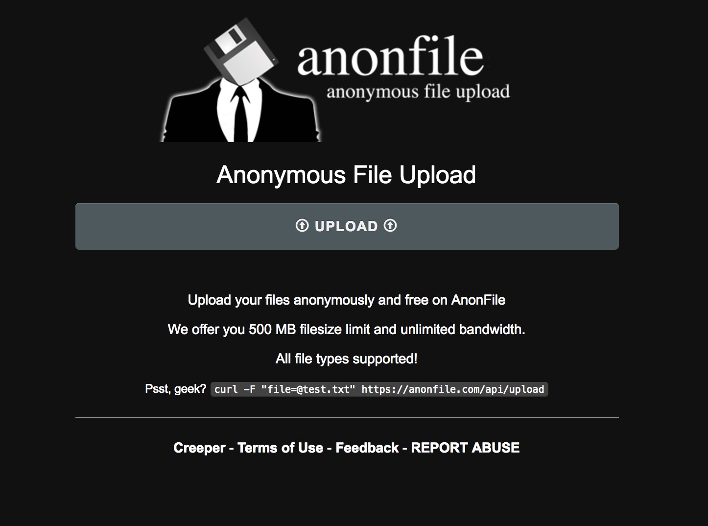 Скриншот 1 программы AnonFile.com