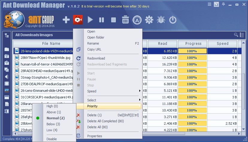 Скриншот 2 программы Ant Download Manager & Video Downloader