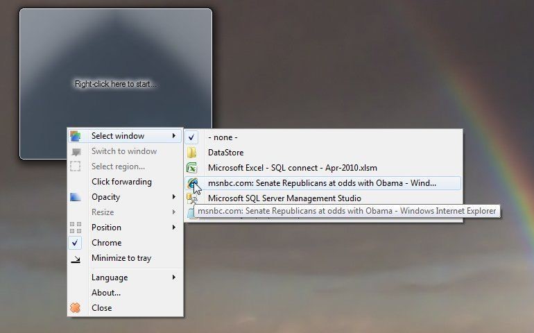 Скриншот 1 программы OnTopReplica