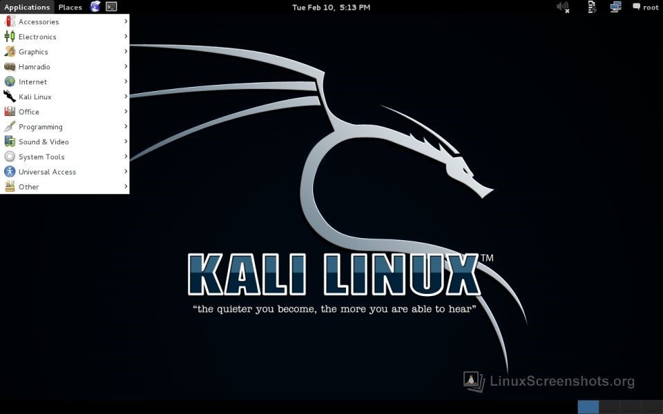 Скриншот 4 программы Kali Linux