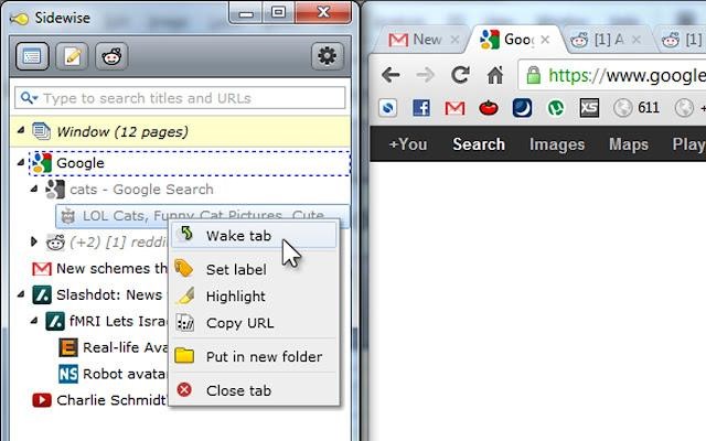 Скриншот 1 программы Sidewise Tree Style Tabs