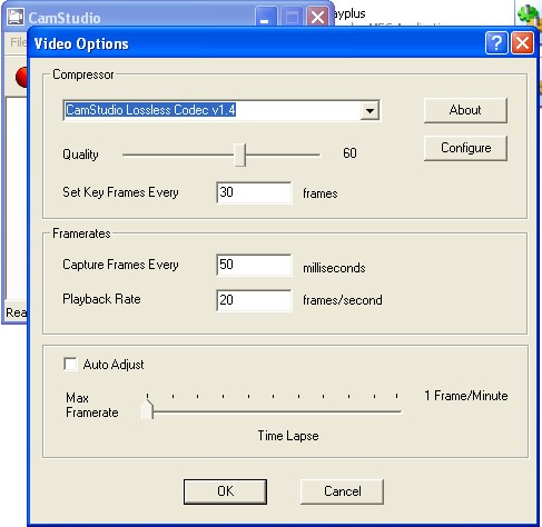 Скриншот 2 программы CamStudio