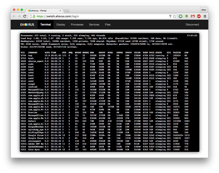 Скриншот 3 программы eHorus