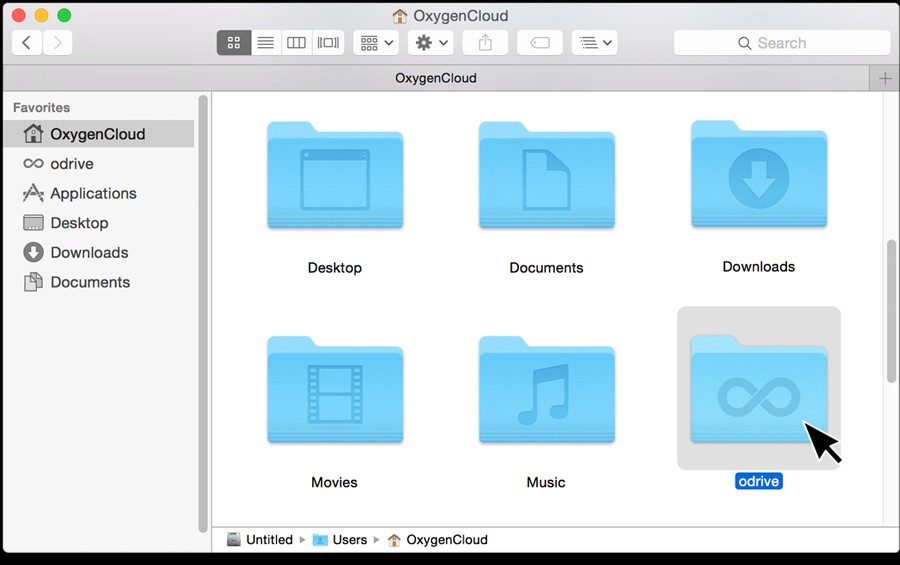Скриншот 4 программы odrive