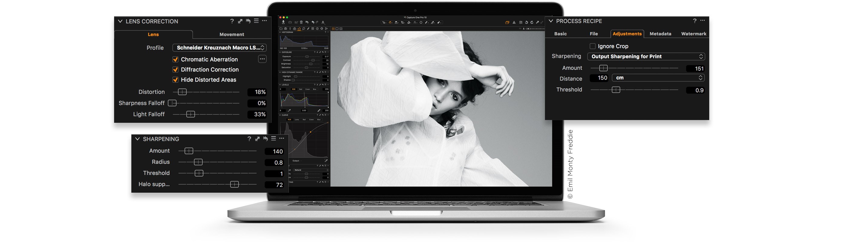 Скриншот 3 программы Capture One Pro