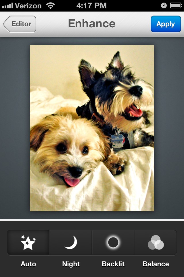 Скриншот 2 программы Aviary Photo Editor