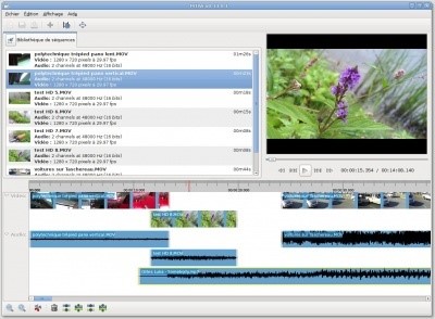Скриншот 1 программы PiTiVi