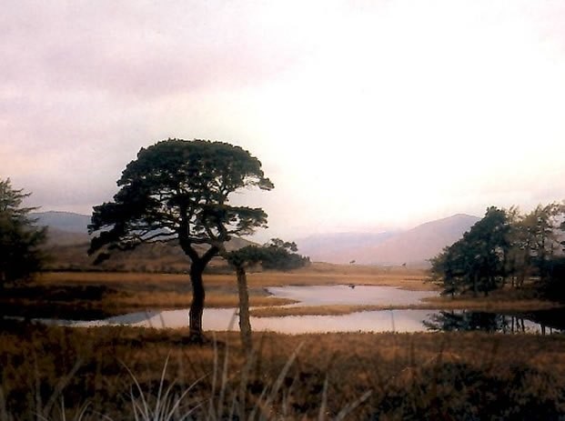 Скриншот 2 программы Bryce