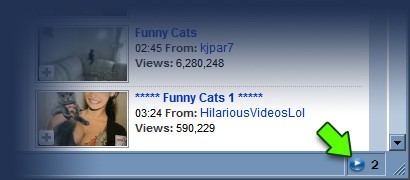 Скриншот 2 программы NetVideoHunter