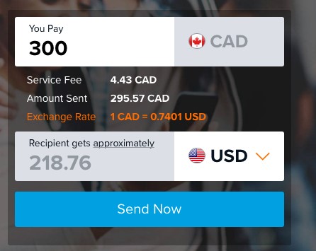 Скриншот 3 программы VoPay